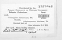 Image Associated With the Occurence